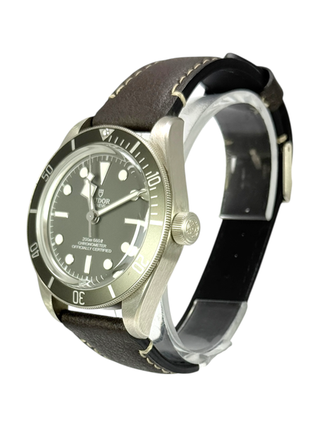 Tudor Black Bay 58 M79010SG-0001